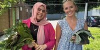 Summer Produce Stands