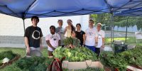 Farm Stands at Food for Others